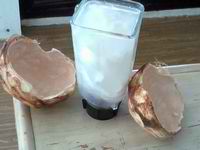 Young Coconut Water with Coconut Meat in Blender